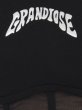 画像12: GYDA ( ジェイダ ) - GRANDIOSEコルセットデザインTシャツ (12)