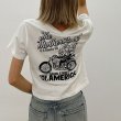 画像2: GYDA ( ジェイダ ) - Route66 BUNNYショートTシャツ (2)