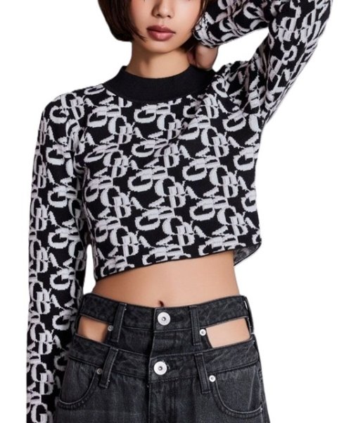 画像3: GYDA ( ジェイダ ) - GYDA pattern プチハイニットトップス (3)