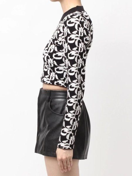 画像5: GYDA ( ジェイダ ) - GYDA pattern プチハイニットトップス (5)