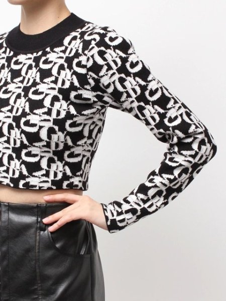 画像8: GYDA ( ジェイダ ) - GYDA pattern プチハイニットトップス (8)