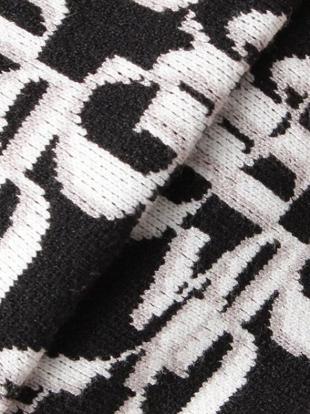 画像10: GYDA ( ジェイダ ) - GYDA pattern プチハイニットトップス (10)