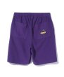 画像7: XLARGE ( エクストララージ ) - XLARGE×Champion REVERSE WEAVE SHORT PANTS (7)