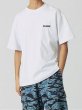 画像13: XLARGE ( エクストララージ ) - OLD OG S/S TEE (13)