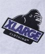 画像14: XLARGE ( エクストララージ ) - SLANTED OG ZIP HOODED SWEATSHIRT (14)