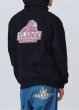 画像19: XLARGE ( エクストララージ ) - CHENILLE SLANTED OG HOODED SWEATSHIRT (19)