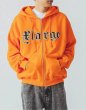 画像13: XLARGE ( エクストララージ ) - PATCHED LOGO ZIP UP HOODIE SWEATSHIRT (13)