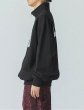 画像16: XLARGE ( エクストララージ ) - ARCH LOGO HALF ZIP SWEATSHIRT (16)