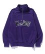 画像3: XLARGE ( エクストララージ ) - ARCH LOGO HALF ZIP SWEATSHIRT (3)