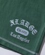 画像8: XLARGE ( エクストララージ ) - XLARGE×Champion REVERSE WEAVE STICHED SHORT PANTS (8)