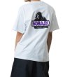 画像10: XLARGE ( エクストララージ ) - BACKSIDE OG S/S TEE (10)