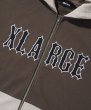 画像5: ☆予約商品☆ XLARGE ( エクストララージ ) - COLOR BLOCK ZIP HOODED SWEATSHIRT (5)