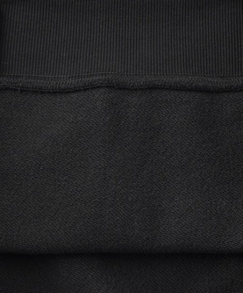 画像11: MILKFED ( ミルクフェド ) - TIGER SWEAT HOODIE (11)