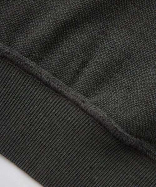 画像9: X-girl ( エックスガール ) - COLOR SCHEME COMPACT ZIP UP HOODIE (9)