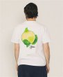 画像12: SILAS ( サイラス ) - LA BODEGUITA S/S TEE (12)