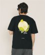 画像14: SILAS ( サイラス ) - LA BODEGUITA S/S TEE (14)