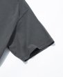 画像8: SILAS ( サイラス ) - MANCHESTER TERRIER S/S TEE (8)