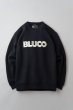 画像2: BLUCO (ブルコ) - SWEAT SHIRT -Embroidery- (2)