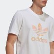 画像6: adidas Originals (アディダスオリジナルス) - カモ トレフォイル半袖Tシャツ (6)