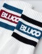 画像4: BLUCO (ブルコ) - 2-PAC SOX -Line- (4)