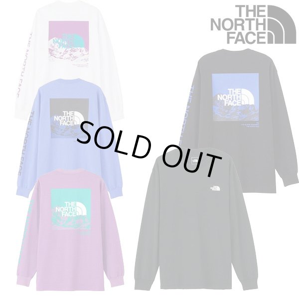 画像1: THE NORTH FACE ( ザ・ノース・フェイス ) - ロングスリーブスリーブグラフィックティー（メンズ） L/S Sleeve Graphic Tee (1)