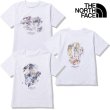 画像1: THE NORTH FACE ( ザ・ノース・フェイス ) - ショートスリーブウォールズティー S/S Walls Tee (1)