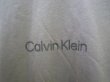 画像5: CALVIN KLEIN JEANS (カルバンクラインジーンズ) - リラックス クルーネック Tシャツ RLXD STANDARD LOGO CREWNECK TEE (5)