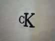 画像4: CALVIN KLEIN JEANS (カルバンクラインジーンズ) - Tシャツ - アーカイブロゴ リラックスクルーネックTシャツ [JUNG KOOK / ジョングク着用商品] (4)
