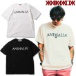 画像1: ANIMALIA ( アニマリア ) - ANIMALIA TIDY LOGO SLAB TEE (1)