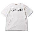 画像2: ANIMALIA ( アニマリア ) - ANIMALIA TIDY LOGO SLAB TEE (2)