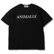 画像3: ANIMALIA ( アニマリア ) - ANIMALIA TIDY LOGO SLAB TEE (3)