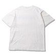 画像4: ANIMALIA ( アニマリア ) - ANIMALIA TIDY LOGO SLAB TEE (4)