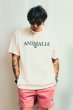 画像8: ANIMALIA ( アニマリア ) - ANIMALIA TIDY LOGO SLAB TEE (8)