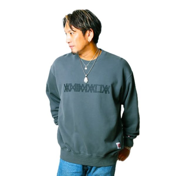 画像6: ANIMALIA ( アニマリア ) - Pigment Dyeing Crew Sweat -LOGO (6)