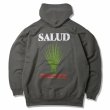 画像3: ANIMALIA ( アニマリア ) - 10oz P/O Hoodie(loop terry) -SALUD (3)