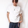 画像9: ANIMALIA ( アニマリア ) - 8.1oz US Cotton S/S T-Shirts - GET IT OVER - (9)