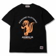 画像4: ANIMALIA ( アニマリア ) - 5.6 oz S/S T-Shirts - KSKUN - (4)
