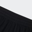 画像6: Reebok CLASSIC ( リーボッククラシック) - ブラックアイパッチ ニット ショーツ / BlackEye Patch Knit Shorts (6)