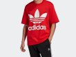 画像8: adidas Originals (アディダスオリジナルス) - リラックスフィット 半袖Tシャツ (8)