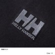 画像9: HELLY HANSEN (ヘリーハンセン) - ロングスリーブレターティー L/S Letter Tee (9)