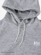 画像9: HELLY HANSEN (ヘリーハンセン) - オーシャングラフィックスエットパーカー（ユニセックス） (9)