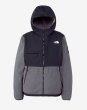 画像2: THE NORTH FACE ( ザ・ノース・フェイス ) - デナリフーディ（メンズ） Denali Hoodie (2)