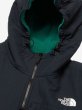 画像14: THE NORTH FACE ( ザ・ノース・フェイス ) - デナリフーディ（メンズ） Denali Hoodie (14)