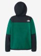 画像6: THE NORTH FACE ( ザ・ノース・フェイス ) - デナリフーディ（メンズ） Denali Hoodie (6)