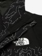 画像7: THE NORTH FACE ( ザ・ノース・フェイス ) - ノベルティマウンテンライトジャケット（メンズ）NOVLTY MOUNTAIN LIGHT JACKET (7)