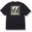 画像4: THE NORTH FACE ( ザ・ノース・フェイス ) - ショートスリーブエルキャピタンティー（メンズ） S/S Elcapitan Tee (4)