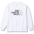画像2: THE NORTH FACE ( ザ・ノース・フェイス ) - ロングスリーブハーフドームロゴティー（メンズ） L/S Half Dome Logo Tee (2)