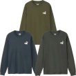 画像1: THE NORTH FACE ( ザ・ノース・フェイス ) - ロングスリーブズーピッカーティー (1)