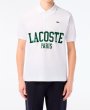 画像7: LACOSTE ( ラコステ ) - オーバーサイズネームプリントポロシャツ (7)