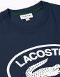 画像3: LACOSTE ( ラコステ ) - トーンオントーン ラコステグラフィック Tシャツ (3)